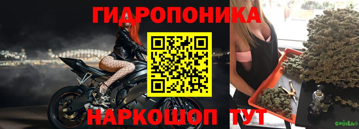 Марихуана сатива  Каннабис VHQ  Каннабис планчик  Каннабис гибрид  Вход с VPN  Бахчисарай 